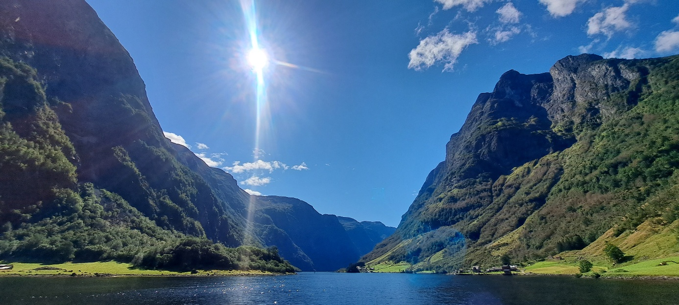 image - 2026-05-14T185544.434